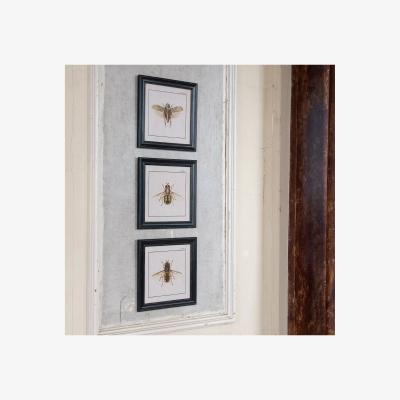 John Lewis One.World Brookby Bee Wood Framed Wall Art, Set of 3, 38 x 38cm, Black
