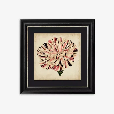 John Lewis Pop Floral VI Framed Print & Mount, 56 x 56cm, Black/Pink