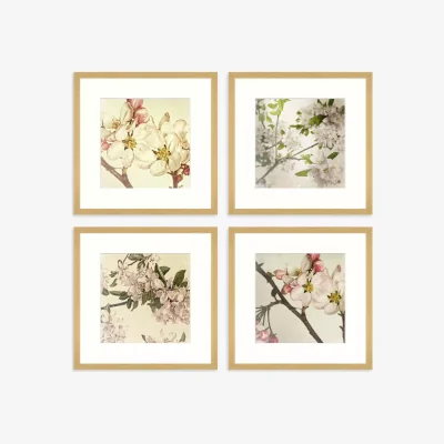 John Lewis Print Punk Studio - 'Vintage Blossom' Framed Print & Mount, Set of 4, 32 x 32cm, Multi