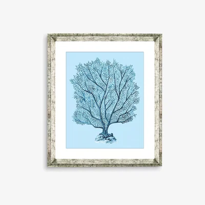 John Lewis Blue Coral 5 - Framed Print & Mount, 46 x 36cm, Blue