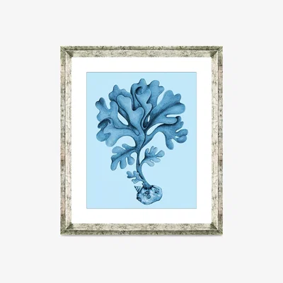 John Lewis Blue Coral 7 - Framed Print & Mount, 46 x 36cm, Blue