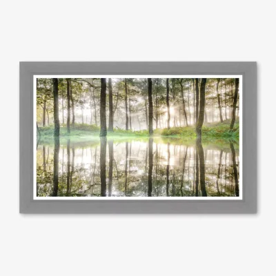 John Lewis Mike Shepherd - 'Essence of Life' Framed Print, 73 x 113cm, Green/Multi