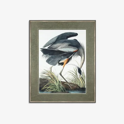 John Lewis John Lewis John James Audubon 'Blue Heron' Framed Print & Mount, 101 x 81cm, Grey/Multi