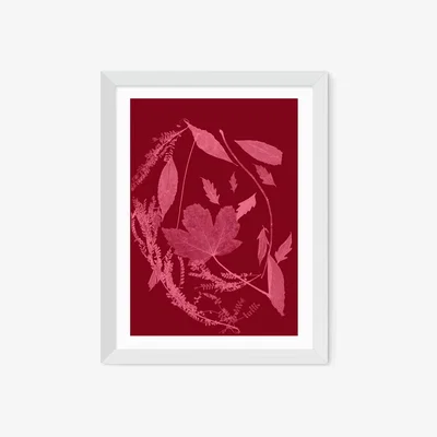 John Lewis EAST END PRINTS Herald Black 'Red Foliage' Framed Print