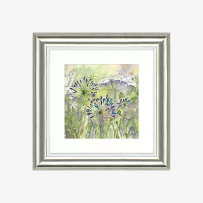 John Lewis Catherine Stephenson - Agapanthus Grasses 2 Framed Print, 50 x 50cm