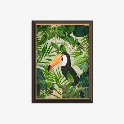 John Lewis Andrea Haase - Jungle Toucan Framed Print, 77 x 57cm, Green/Multi