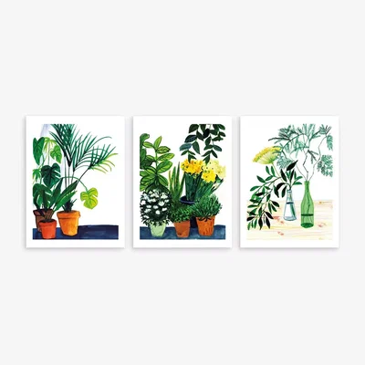 John Lewis John Lewis ANYDAY Marta Chojnacka 'Botanical' Unframed Print, Set of 3, 40 x 30cm, Green