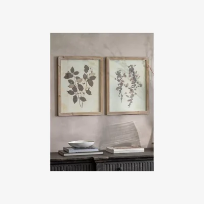 John Lewis One.World Leaf Wood Framed Print, Set of 2, 53.8 x 42cm, Brown/Multi
