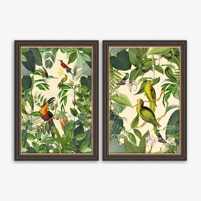 John Lewis Andrea Haase - Tropical Birds Framed Prints, Set of 2, 67 x 47cm, Green/Multi