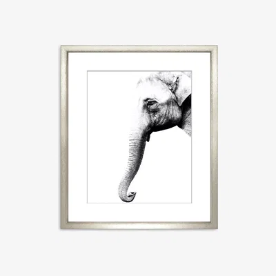 John Lewis Kerrick - Elephant II Framed Print & Mount, 58 x 49cm, Black/White