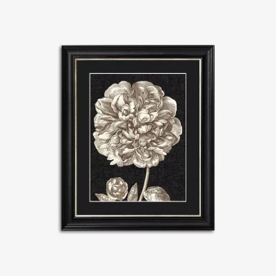 John Lewis Dramatic Peony II Framed Print & Mount, 60 x 50cm, Black/White