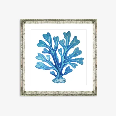 John Lewis Blue Seaweed 6 - Framed Print & Mount, 46 x 46cm, Blue