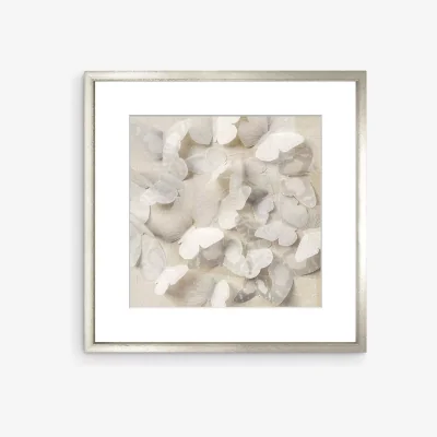 John Lewis Fiona Crawford Watson - Butterflies Framed Print & Mount, 58 x 58cm, White