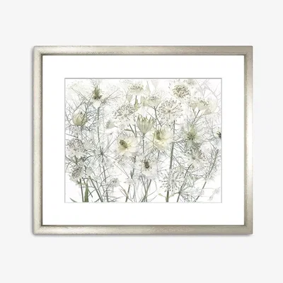 John Lewis White Flowers Framed Print & Mount, 49 x 58cm, White