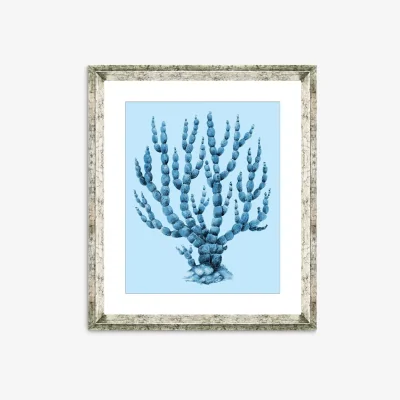 John Lewis Blue Coral 6 - Framed Print & Mount, 46 x 36cm, Blue