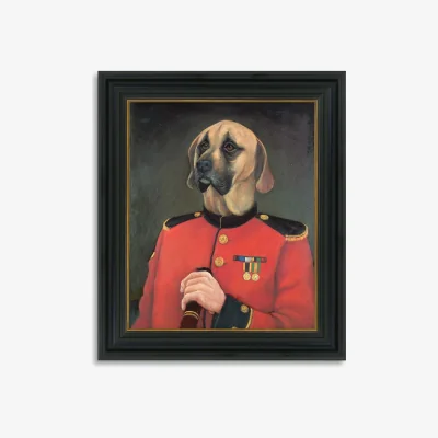 John Lewis Captain Wilson - Framed Canvas, 46 x 38cm, Multi