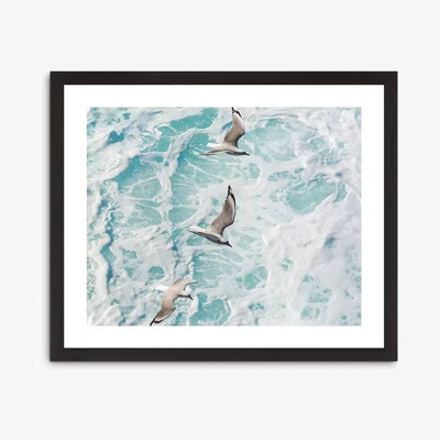 John Lewis Gannets 1 - Framed Print & Mount, 56 x 66cm, Blue