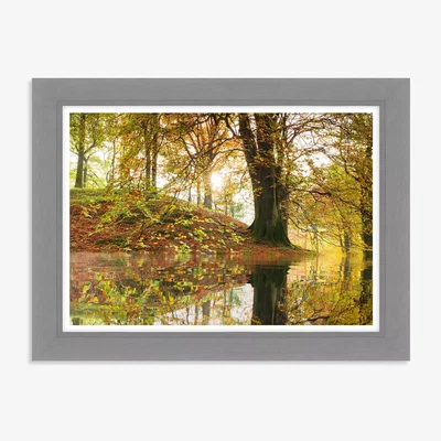 John Lewis Mike Shepherd - 'Woodland Reflection' Framed Print, 63 x 83cm, Yellow/Multi