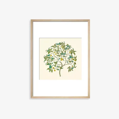 John Lewis John Lewis V&A CFA Voysey 'The Ornamental Tree' Framed Print, 50 x 40cm