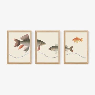 John Lewis EAST END PRINTS Natural History Museum 'Fish' Framed Print, Set of 3