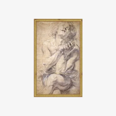 John Lewis Peter Paul Rubens - Seated Male Wood Framed Print, 26 x 16cm, Natural/Gold