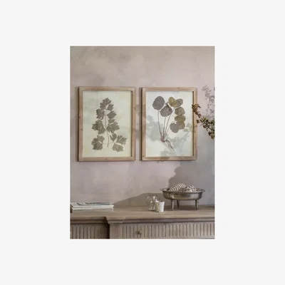John Lewis One.World Leaf Wood Framed Print, Set of 2, 53.8 x 42cm, Brown/Multi