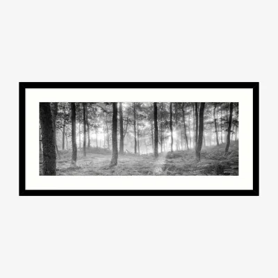 John Lewis Mike Shepherd - Misty Trees Framed Print & Mount, 49x 104cm