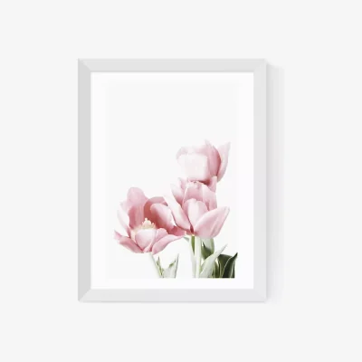 John Lewis EAST END PRINTS Sisi and Seb 'Tulips' Framed Print