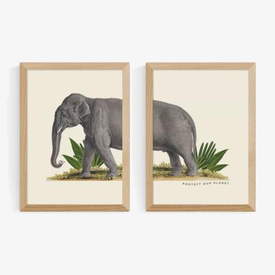 John Lewis EAST END PRINTS Natural History Museum 'Elephant' Framed Print, Set of 2