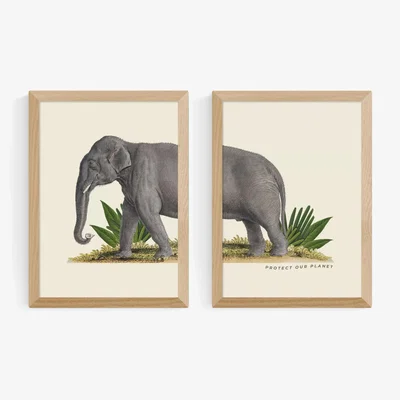 John Lewis EAST END PRINTS Natural History Museum 'Elephant' Framed Print, Set of 2
