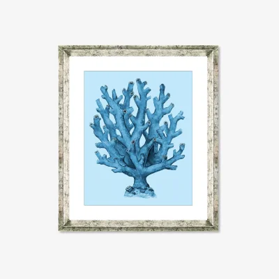 John Lewis Blue Coral 4 - Framed Print & Mount, 46 x 36cm, Blue