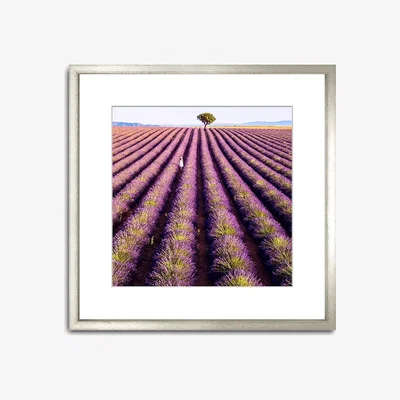 John Lewis Matteo Colombo - 'Lavender Stripes' Wood Framed Print & Mount, 82 x 82cm, Purple