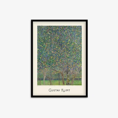 John Lewis Gustav Klimt - 'Pear Tree' Framed Print & Mount, 73.5 x 53.5cm, Green