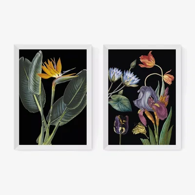John Lewis EAST END PRINTS Natural History Museum 'Dark Floral' Framed Print, Set of 2