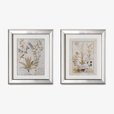 John Lewis Botanical Floral 2 - Framed Print & Mount, Set of 2, 57.5 x 57.5cm, Green/Multi