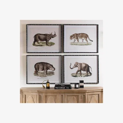 John Lewis One.World Brookby Animal Wood Framed Wall Art, Set of 4, 60 x 80cm, Black