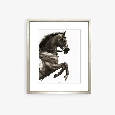 John Lewis Abramaova Kseniya - The Courbette Framed Print & Mount, 73 x 58cm, Black/White