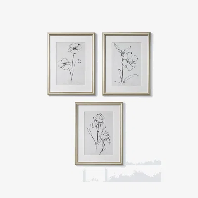 John Lewis John Lewis Ethan Harper 'Floral Ink Study' Framed Print & Mount, Set of 3, 42 x 32cm, Natural