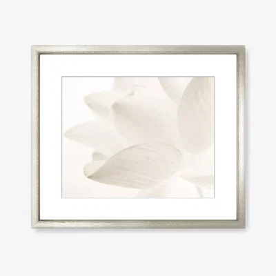 John Lewis Lotus Flower Framed Print & Mount, 58 x 73cm, White