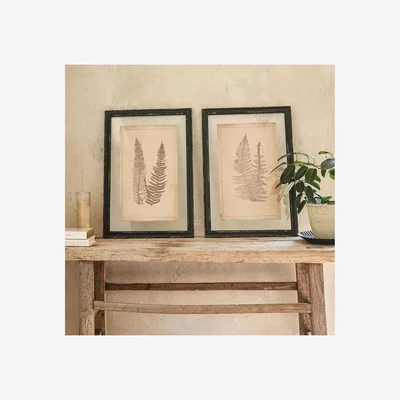 John Lewis One.World Fern Wood Framed Print, Set of 2, 58 x 40cm, Black