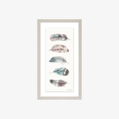 John Lewis Adelene Fletcher - Watercolour Feathers Framed Print & Mount, 38 x 21cm