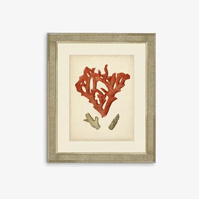 John Lewis Red Coral II - Framed Print & Mount, 60 x 50cm, Red