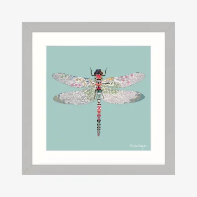 John Lewis Helen Magee - Dragonfly Framed Print & Mount, Green, 33.5 x 33.5cm