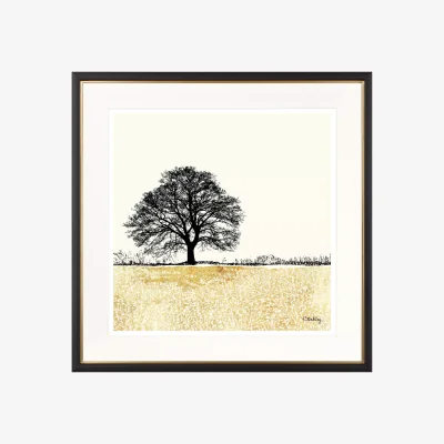 John Lewis Charlotte Oakley - Tree In Golden Field Framed Print & Mount, 36 x 36cm, Gold