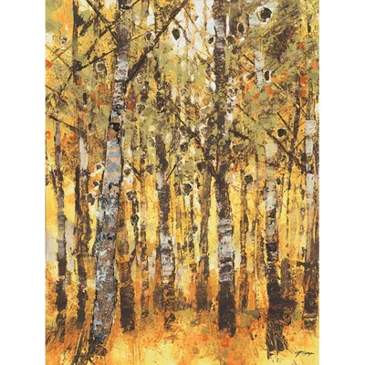 Knees Birch Trees 60 x 80cm Canvas Wall Art