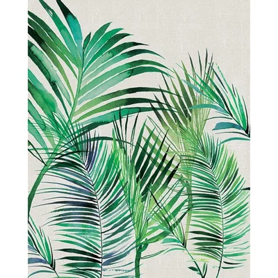Knees Palm Leaves 40 x 50cm Canvas Wall Art