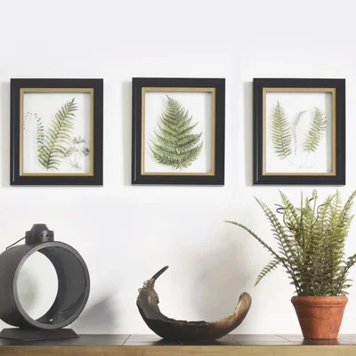 Knees Alpini 33cm x 28cm Framed Art Trio