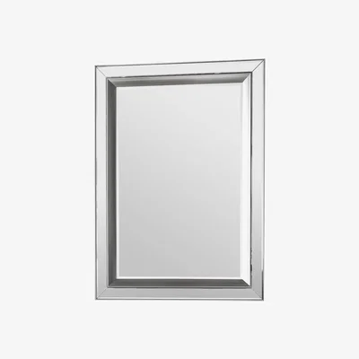 Knees Saddie Large Rectangle Wall Mirror - Silver