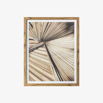 Knees Pindo 50cm x 40cm Framed Art