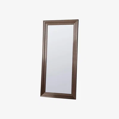 Knees Miramichi Extra Large Rectangle Leaner Mirror - Silver
